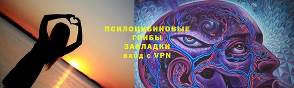 молекула духа Богданович