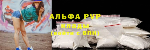 молекула духа Богданович