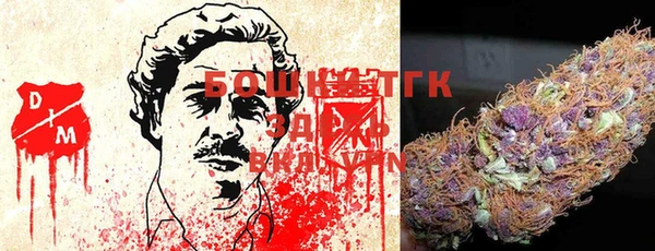 молекула духа Богданович