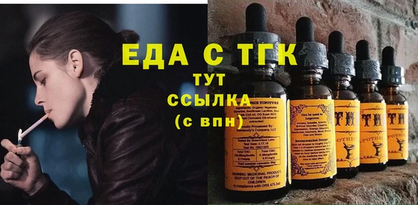 молекула духа Богданович