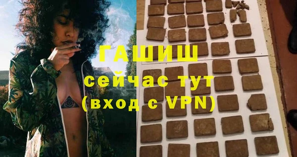молекула духа Богданович