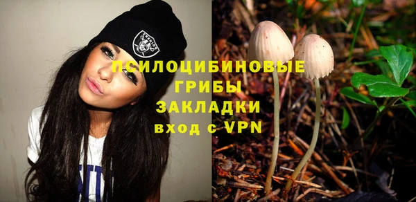 молекула духа Богданович