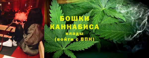 2c-b Богородицк