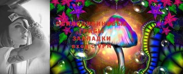 молекула духа Богданович