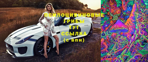 дмт Богородск