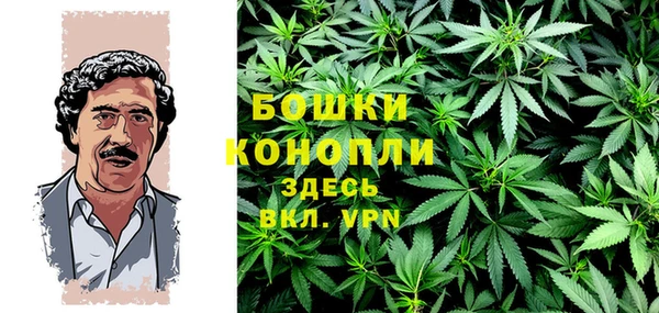 дмт Богородск
