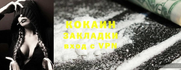 молекула духа Богданович