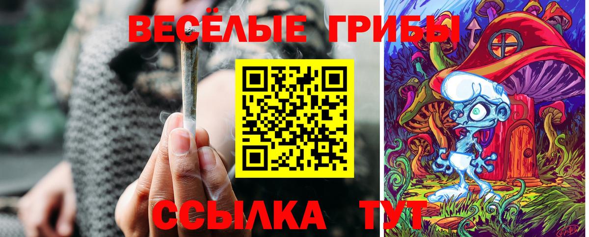 купить наркотики сайты  Галлюциногенные грибы Cubensis  Вязники  Псилоцибиновые грибы мухоморы 