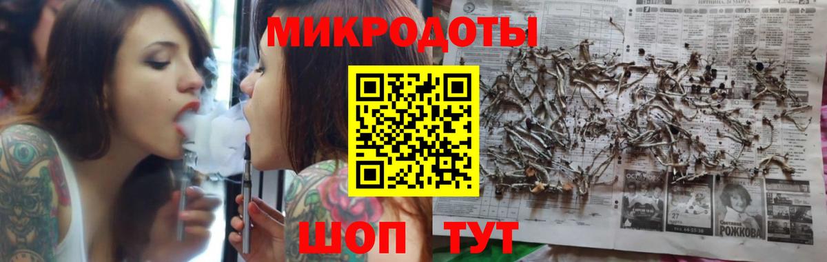 Вязники  Псилоцибиновые грибы Psilocybine cubensis  Псилоцибиновые грибы мицелий  Вход с VPN 